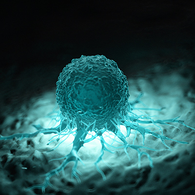 Cancer Cell Microenvironment 400