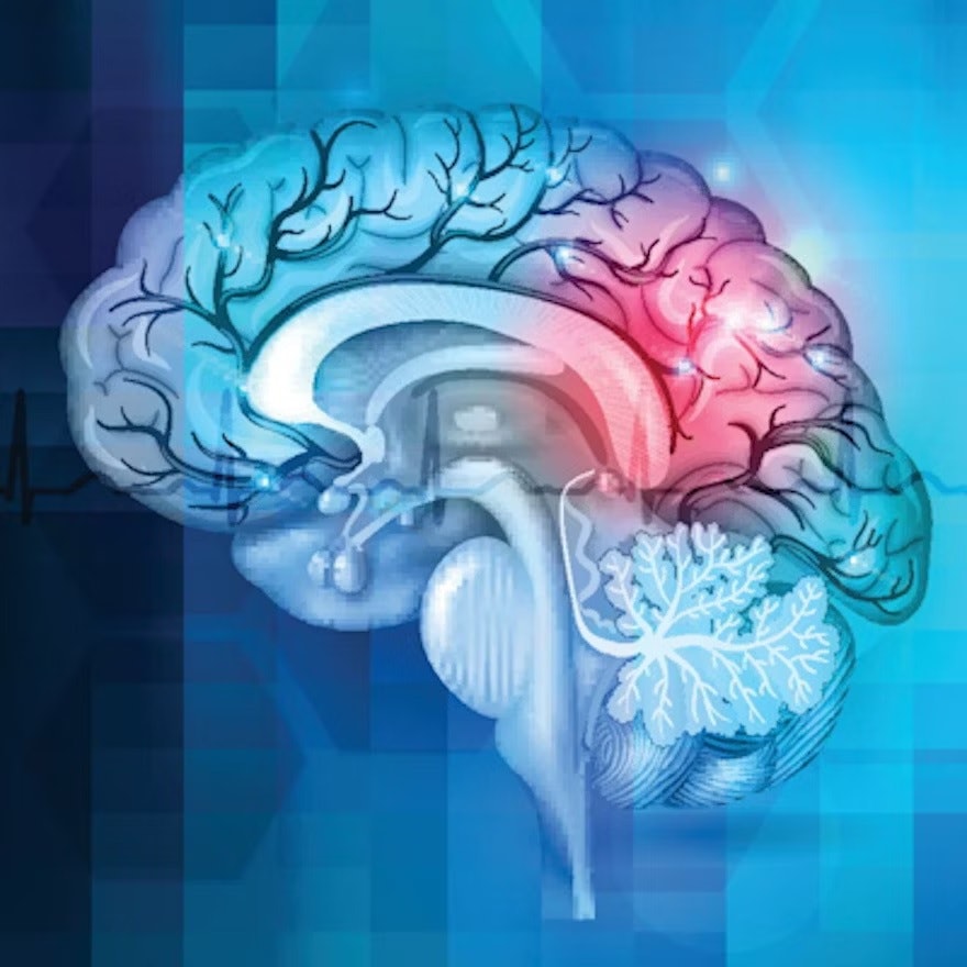 L’imaging biometrico promuove lo studio dell’IB neuronale