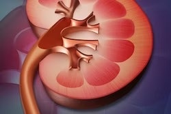 Kidney
