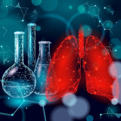 Lungs 3 D Research 400
