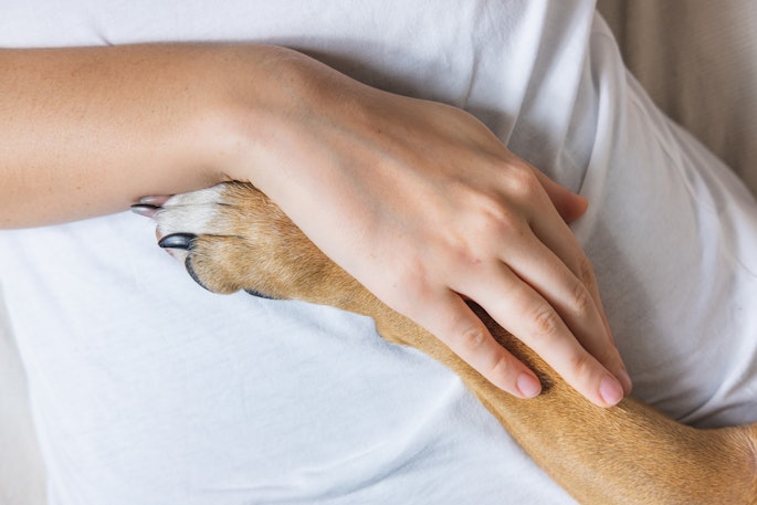 Human Hand Dog Paw