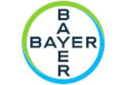 100x100 Bayer Logo