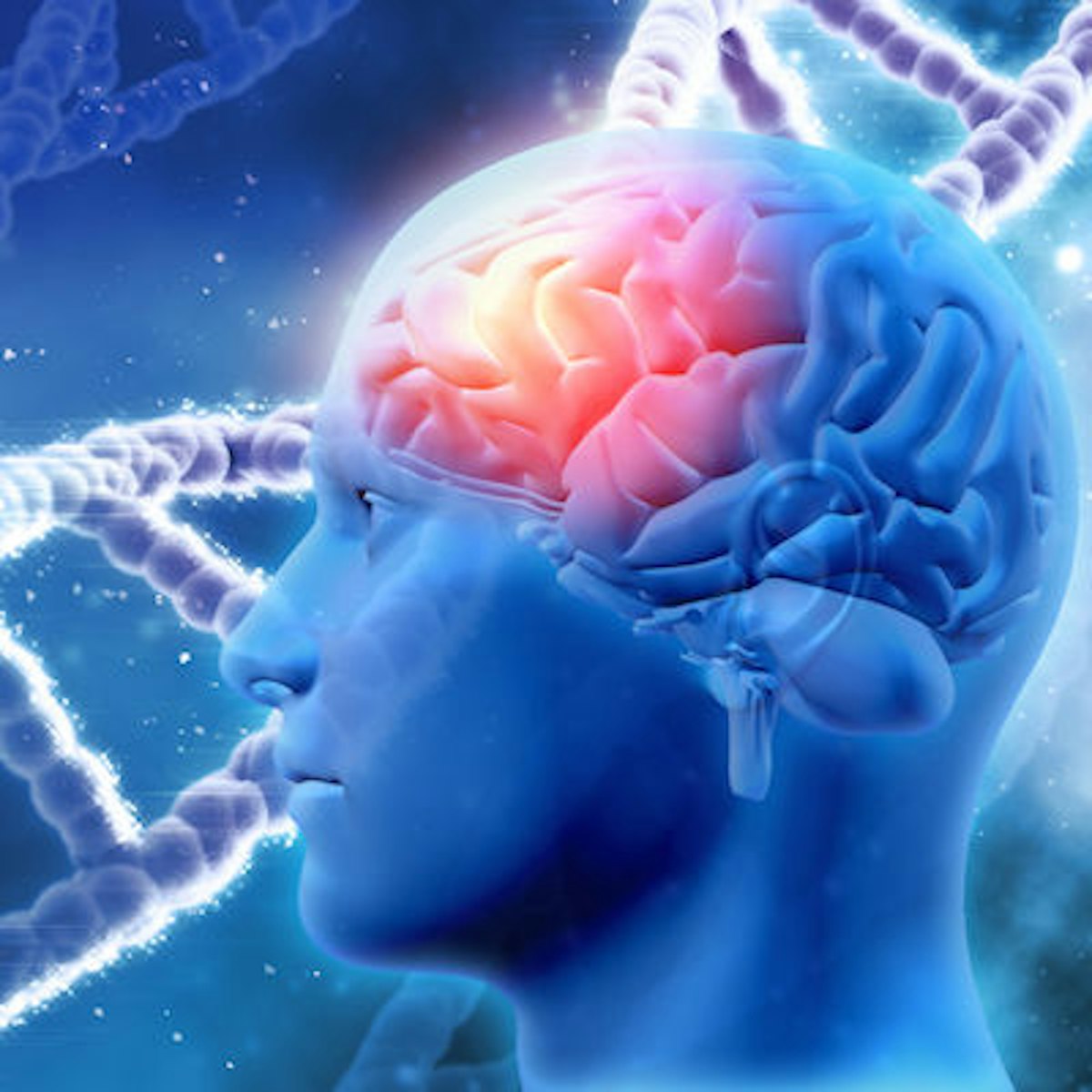 Synaptive appoints Marrus as chief commercial officer | AuntMinnie
