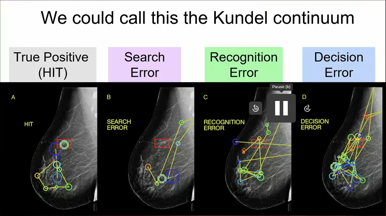 A continuum of errors related to image perception. Image courtesy of Jeremy Wolfe, MD.