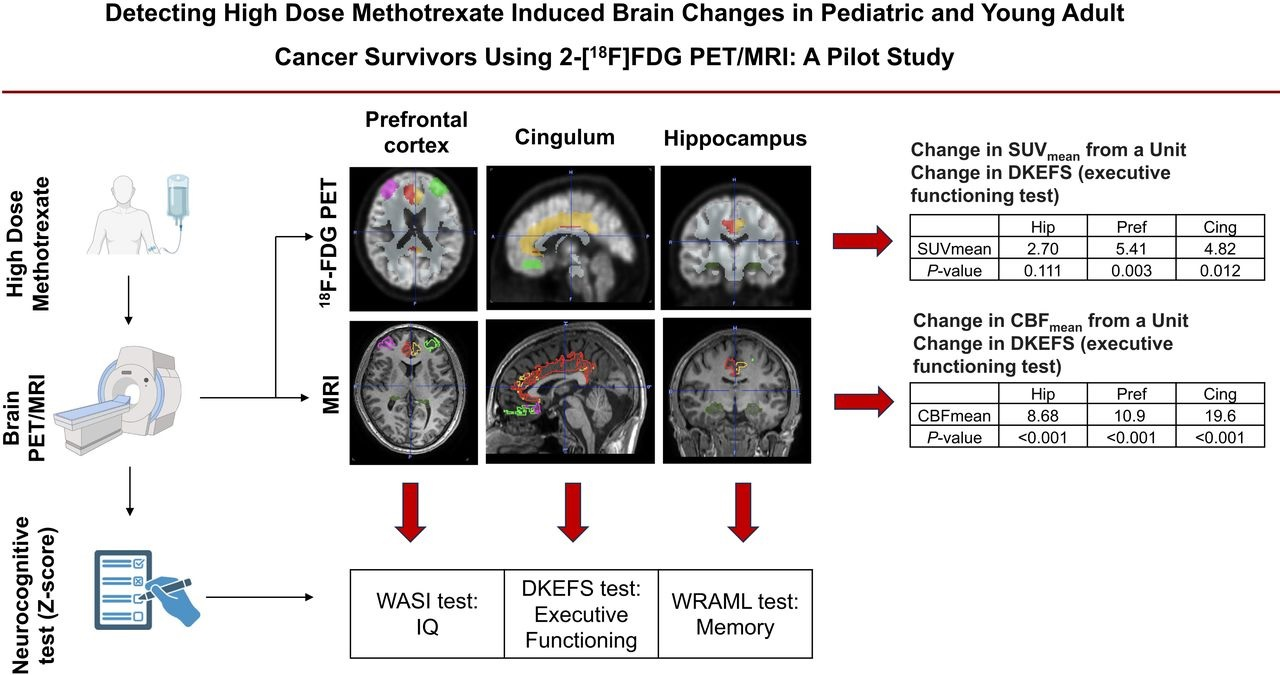 A visual abstract of the study. Image courtesy of the Journal of Nuclear Medicine.