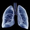 Lung Illustration Blue