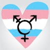 Transgender Pride Symbol Social