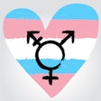Transgender Pride Symbol Social