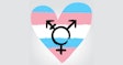 Transgender Pride Symbol Social