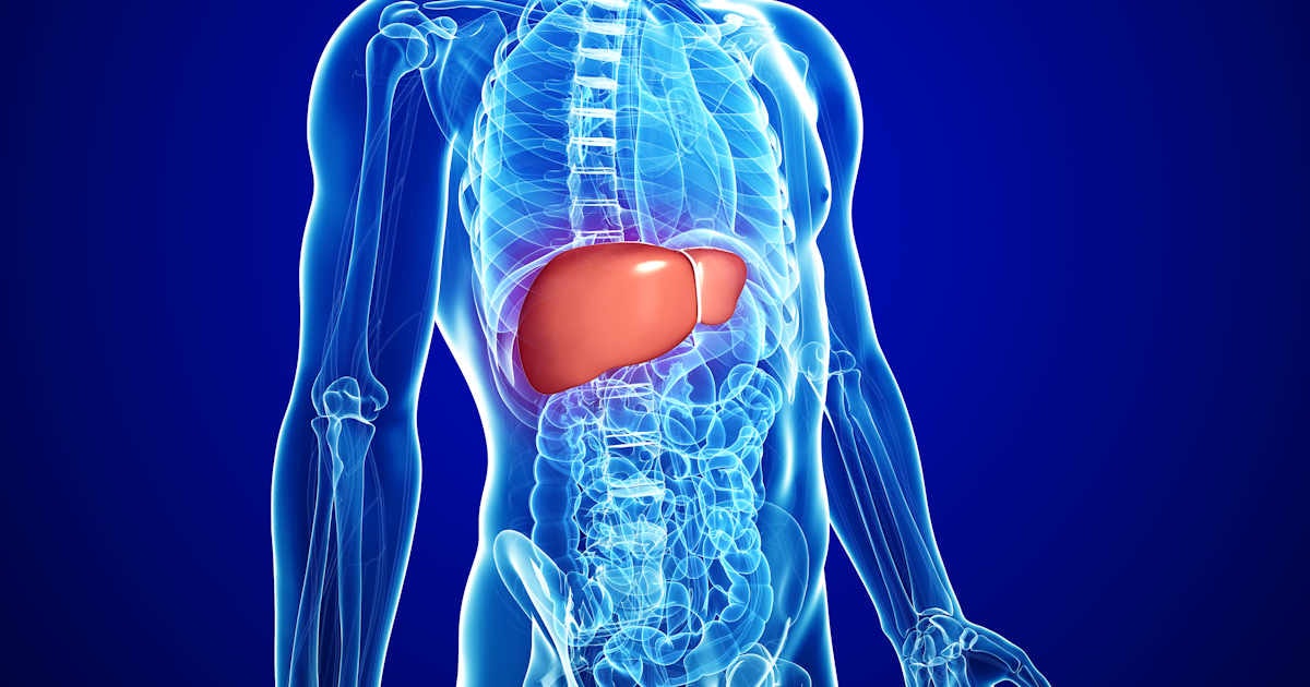Healthcare providers require training on resources for hepatocellular carcinoma surveillance