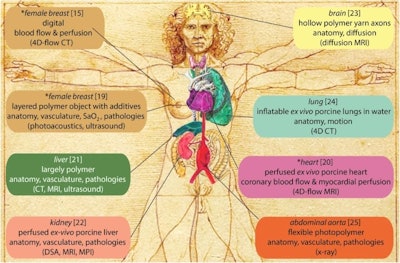 Examples of test objects that the authors classify as super phantoms. Asterisks indicate those presented in the article, with reference numbers provided in square brackets and the imaging modality for which the super phantom is intended in round brackets. The drawing of the body is inspired by the Vitruvian man created by Leonardo Da Vinci in 1490.