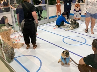 Some attendees took advantage of the opportunity to pet the puppies.