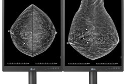 LG's new 21HQ613D-B monitor. Image courtesy of LG.