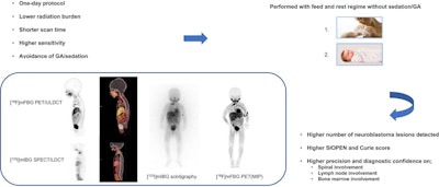 A visual abstract of the study.