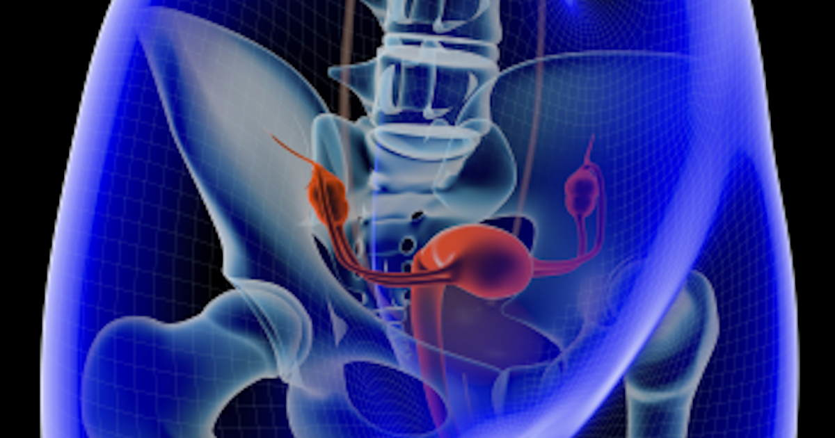 Uterus Pelvic Social