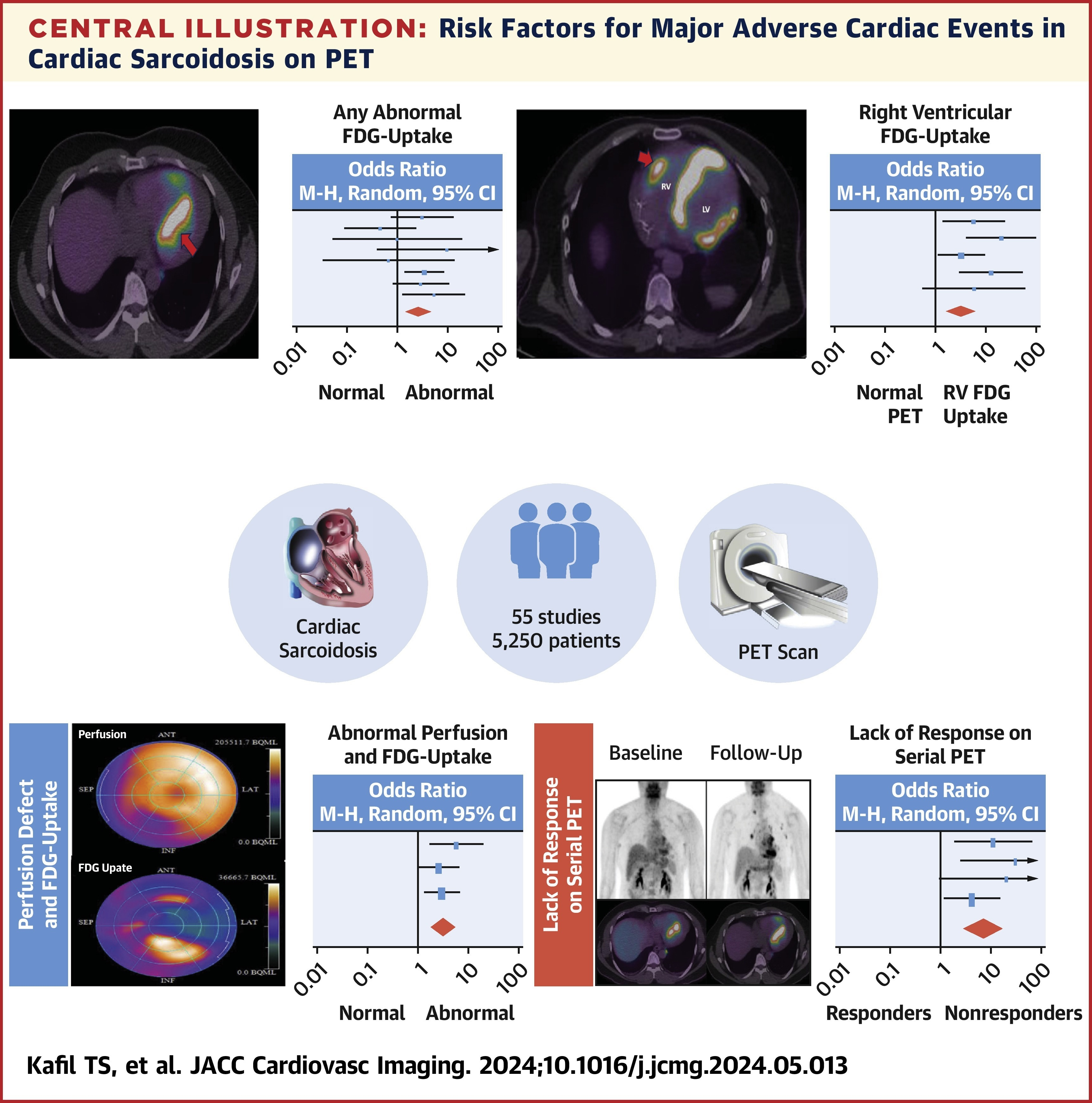 A graphical abstract of the study. Image courtesy of JACC: Cardiovascular Imaging.