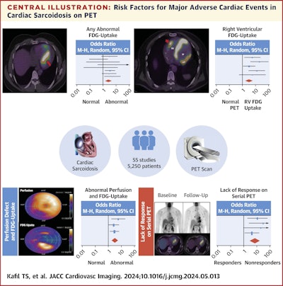 A graphical abstract of the study. Image courtesy of JACC: Cardiovascular Imaging.