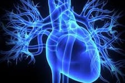 Heart2
