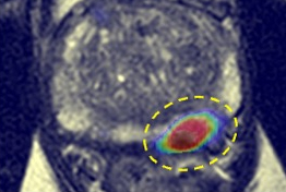 Slide1 670d129f33dc1 Resized Thumbnail