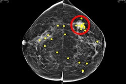 Images Large Radiol 240237 fig1 67056a35a0e37