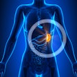 Spleen2