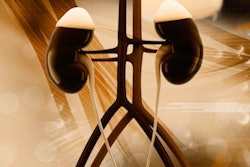 Kidneys