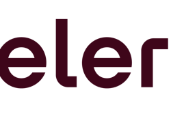 Intelerad Wordmark Maroon Logo