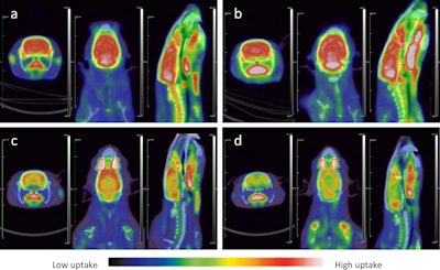 Micro-PET/CT images of rats. (a) At 24 hours in the control group, F-18 FDG uptake in rats brain tissue was normal, and the PET/CT images were red and white; (b) At 7 days in the control group, F-18 FDG uptake in rats brain tissue were normal, and the PET/CT images were red and white; (c) At 24 hours after TMT exposure, F-18 FDG uptake in rats brain tissue were in a low state, and the PET/CT images were orange and yellow. (d) 7 days after TMT exposure, F-18 FDG uptake in rats brain tissue further decreased, and the PET/CT images appeared yellow and light yellow. There was no significant difference in the uptake of muscle tissue between the model group and the control group, and the PET/CT image was blue. Image available for republishing under Creative Commons license (CC BY 4.0 DEED, Attribution 4.0 International) and courtesy of Scientific Reports.