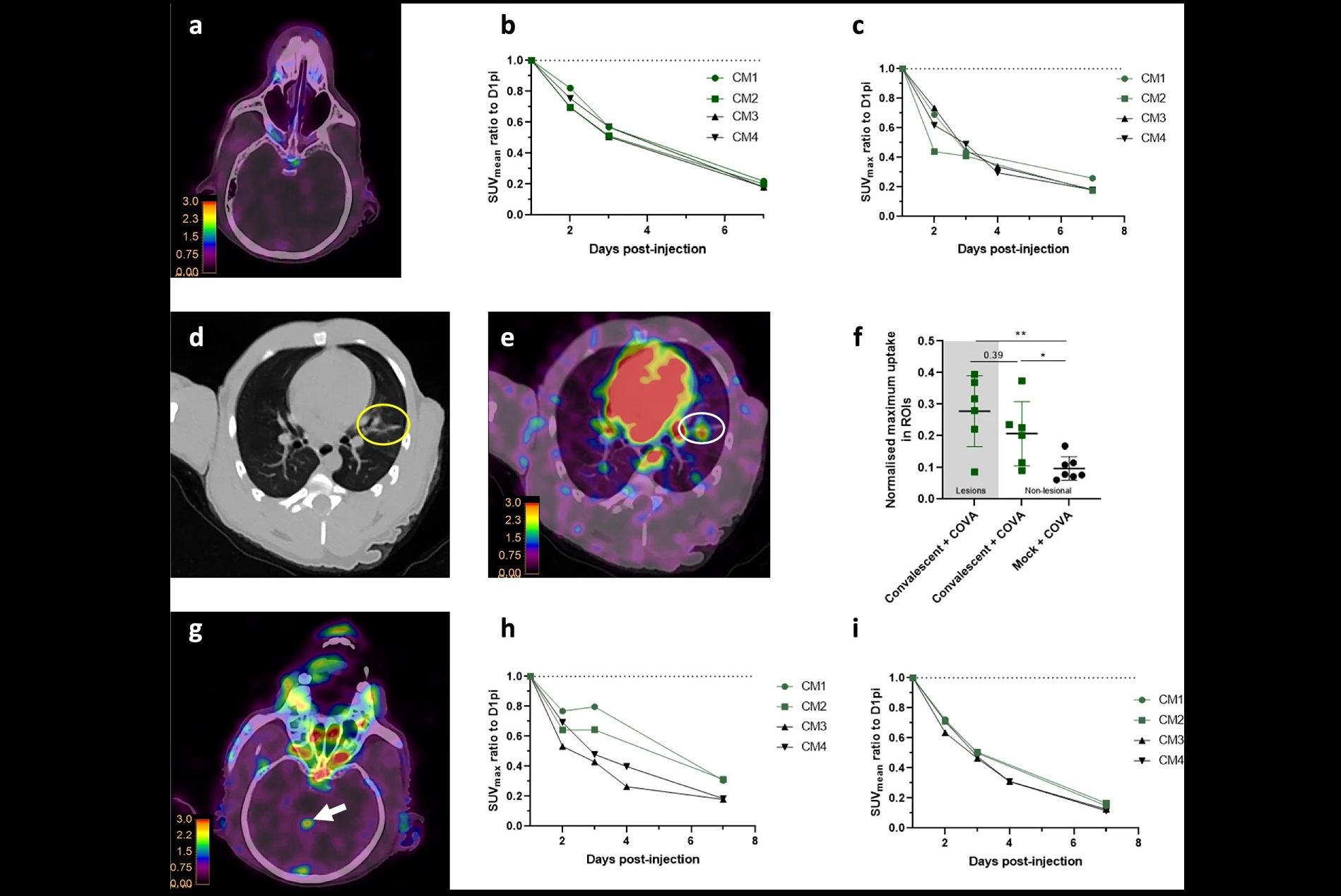 2025 03 24 Covid Brain Thumbnail