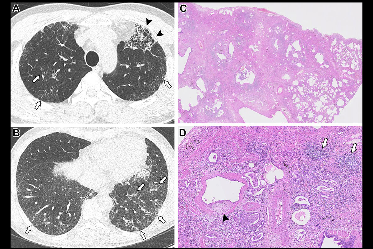 2025 03 25 Radiology Park Image3 Thumbnail