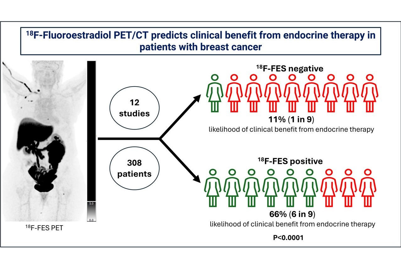 Fes Pet Abstract Thumbnail