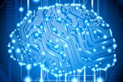 Brain2
