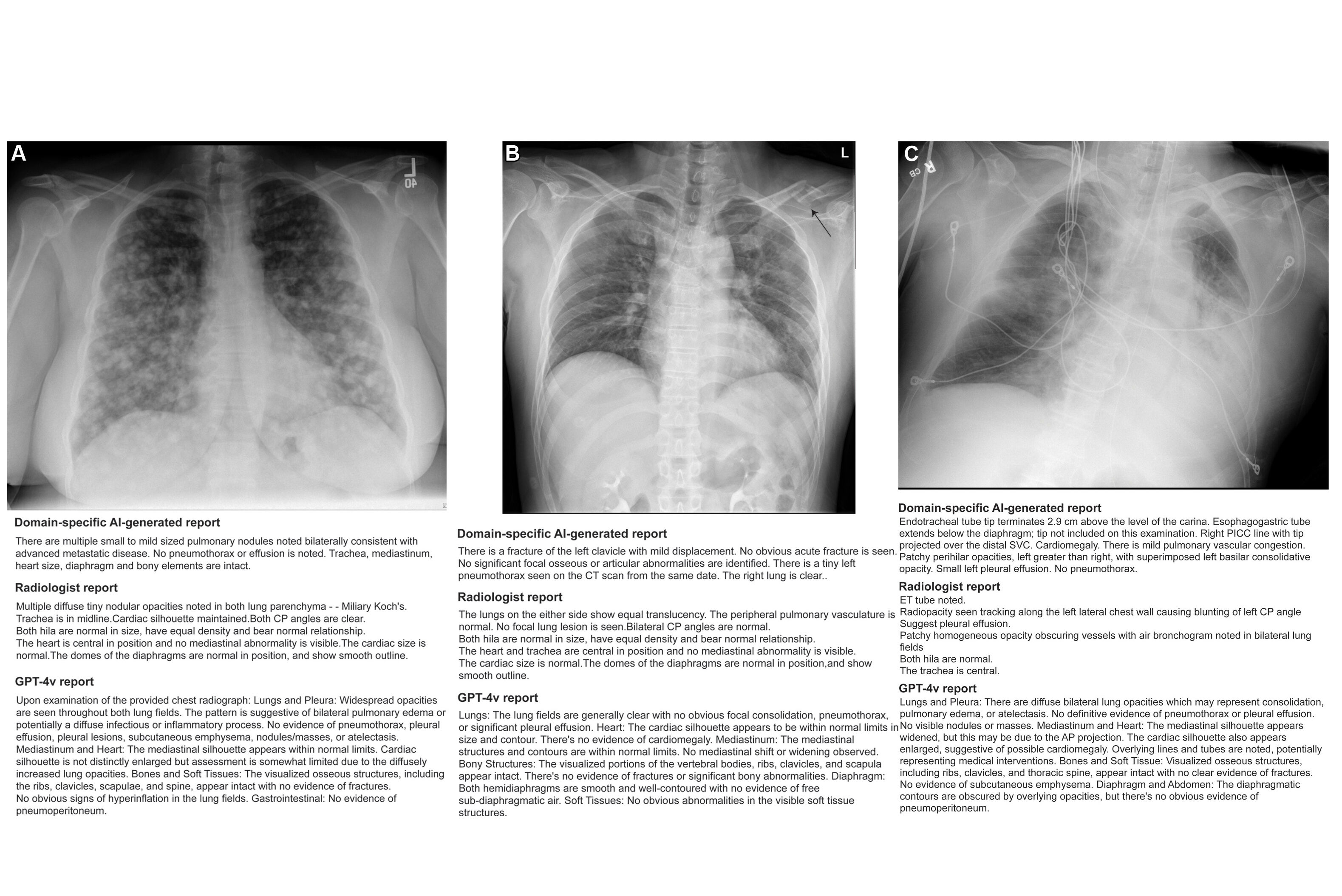 Images Large Radiol Thumbnail