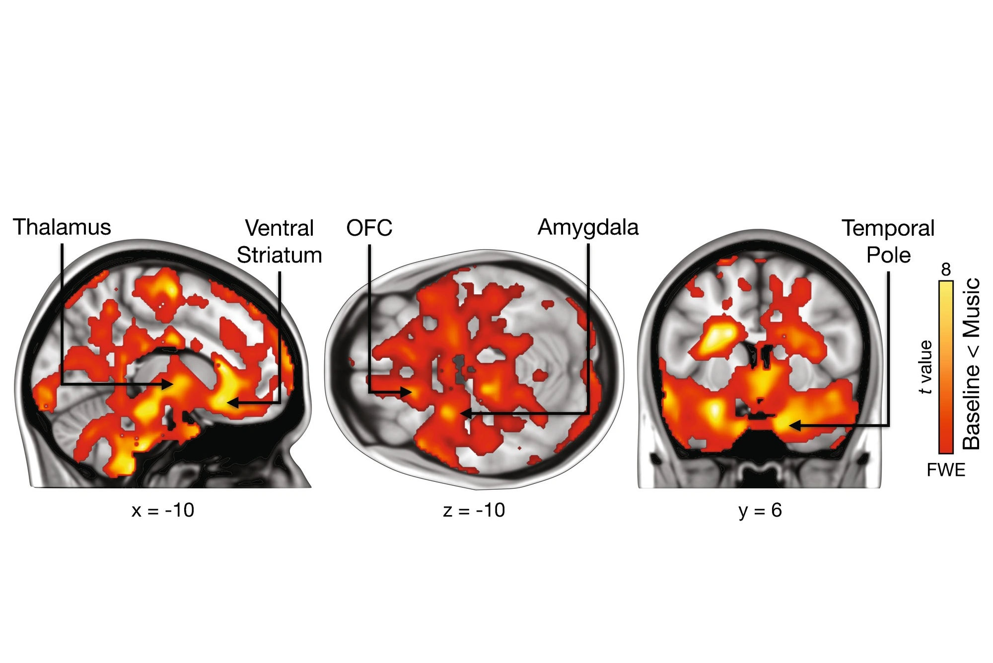 2025 04 07 Pet Music Thumbnail