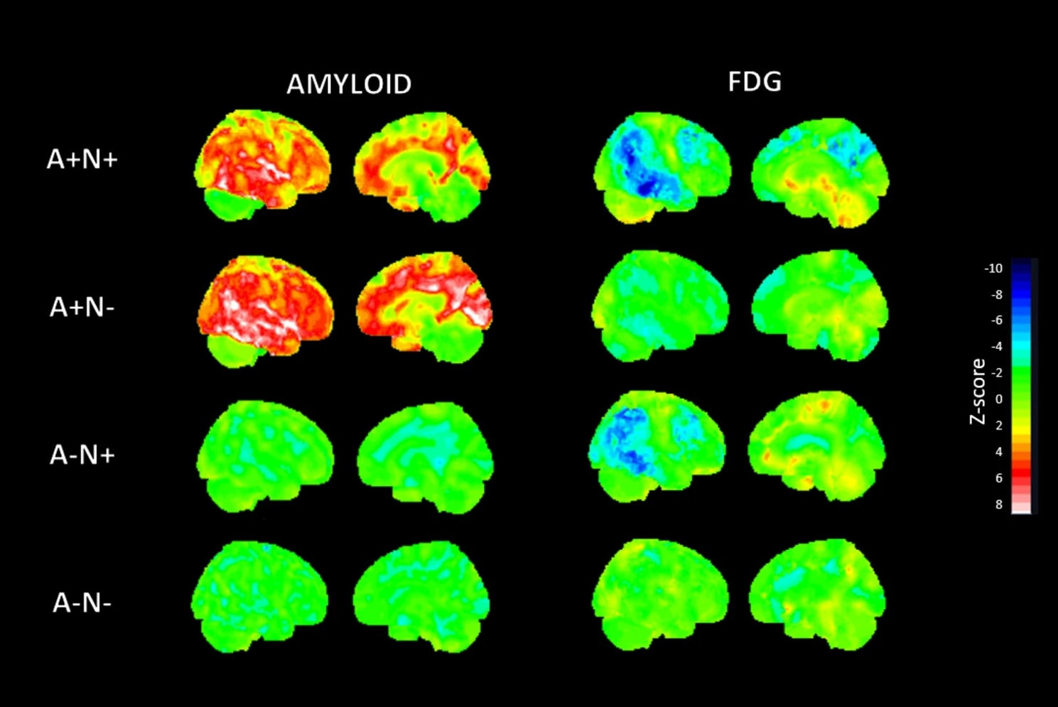 Ad Pet Fdg Thumbnail