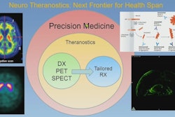A conceptual framework for neurotheranostics.