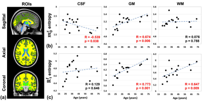 Regions of interest depicted in colors: cerebrospinal fluid (blue), cortical gray matter (dark green), and white matter (yellow). Scatter plots present significant correlations between (b) [semi-solid spin pool size, or ms0m0s] entropy and age in cerebrospinal fluid and cortical gray matter, and (c) [longitudinal relaxation rates, or Rf1R1f] entropy and age in cortical gray matter and white matter (p < 0.05). Images, graphics, and caption courtesy of Sohae Chung, PhD, and the ISMRM.