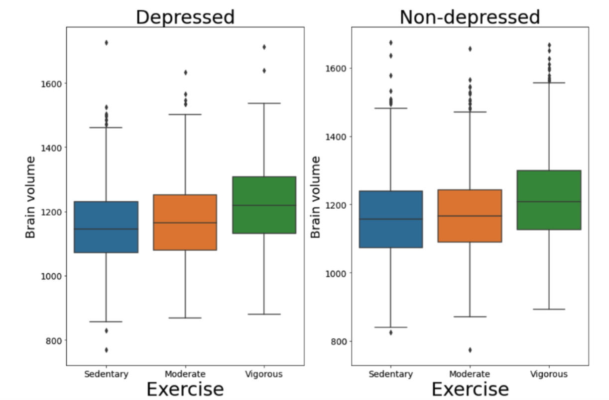 Boxplot showing significantly larger brain volumes in individuals engaging in vigorous daily exercise compared to those with sedentary or moderate activity levels. The exercise intensity-brain volume pattern is similar across both depressed and nondepressed individuals.