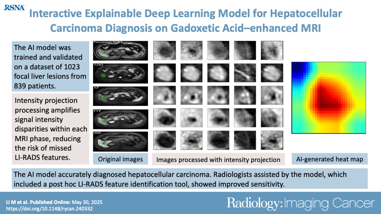 A graphical abstract of the study.