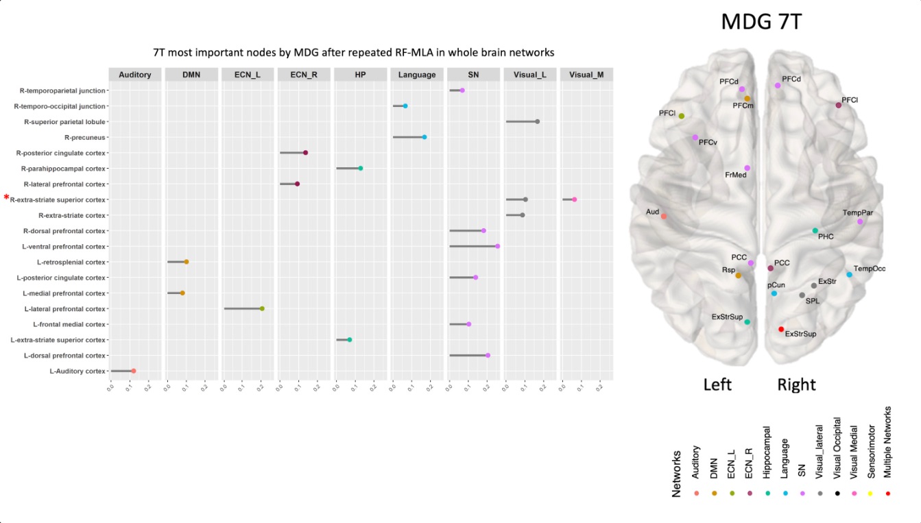 A lollipop plots showing the most important nodes by RF-MLA selected by Mean decrease in Gini for a 7 tesla fMRI dataset, with longer sticks meaning greater importance. Each group of networks&rsquo; nodes has its own color matching the same network&rsquo;s color in the brain map. Nodes' names preceded by a red asterisk are repeated among different networks, matching the red nodes in the brain map, which appear in multiple networks.