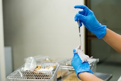 Animal Testing