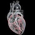 Artery Heart 3 D Base Thumbnail