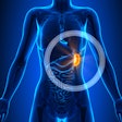 Spleen2