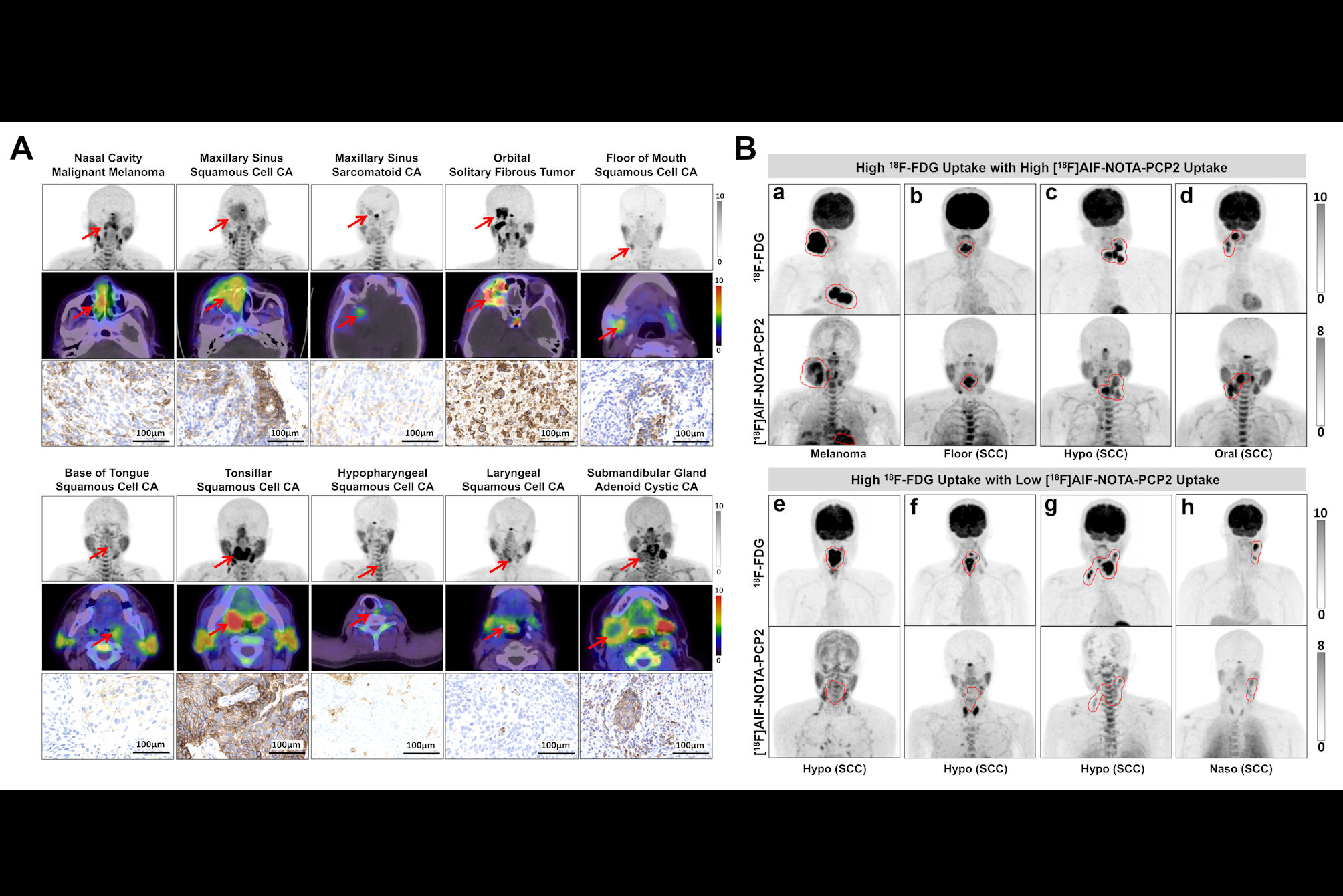 Wang Ioy Image Thumbnail