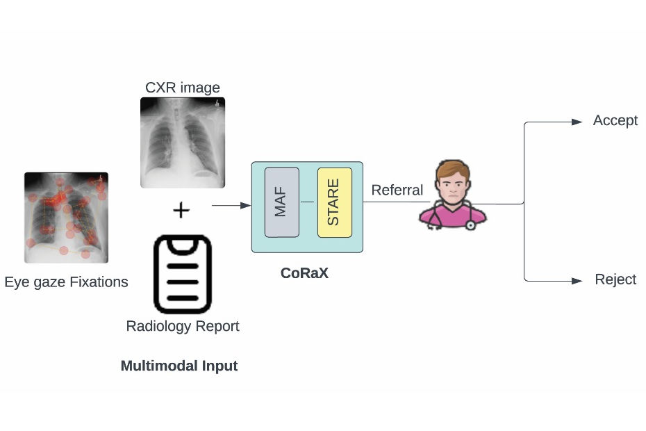 2025 07 17 Eye Gaze Model Thumbnail