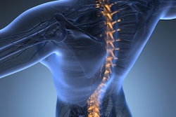 Back Spine Skeleton