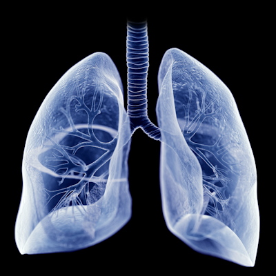 Lung Illustration Blue 400