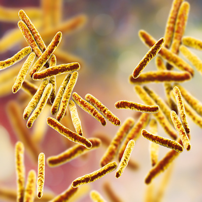 Bacteria Mycobacterium Tuberculosis 400