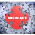 Medicare Puzzle