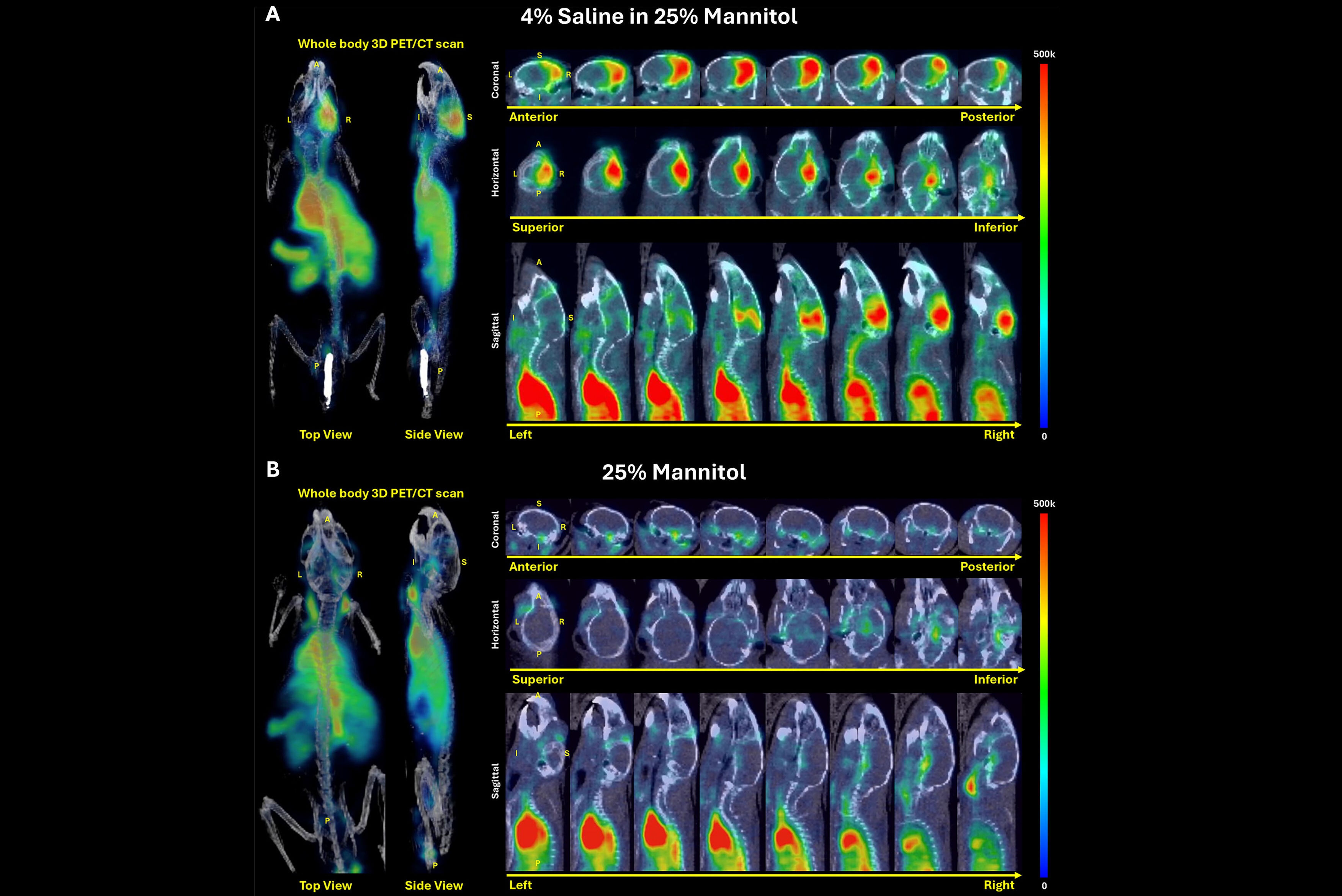 2025 09 02 Pet Bbb Thumbnail